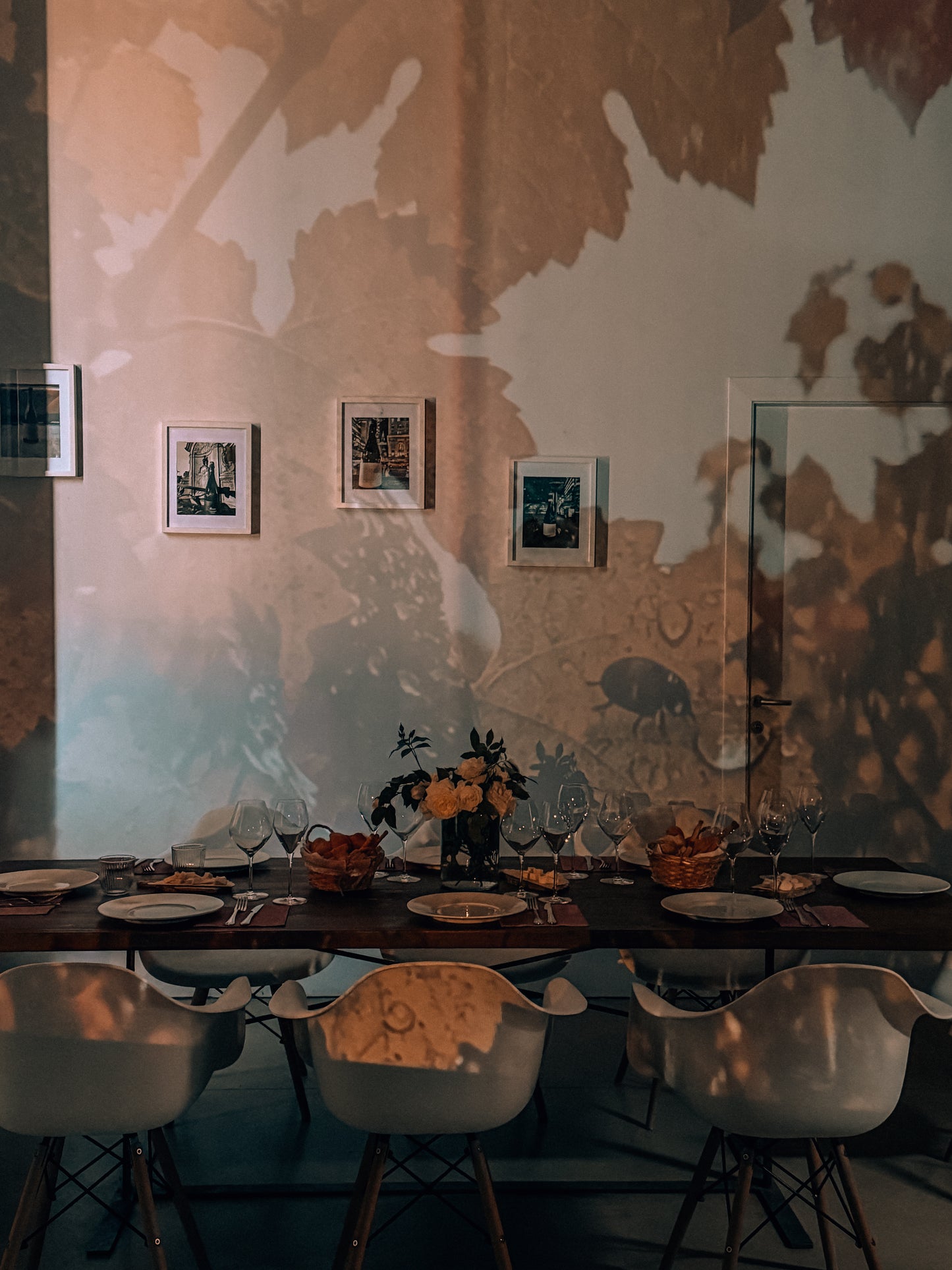 Guided tour and tasting of 6 wines, gourmet aperitif with Sabrage