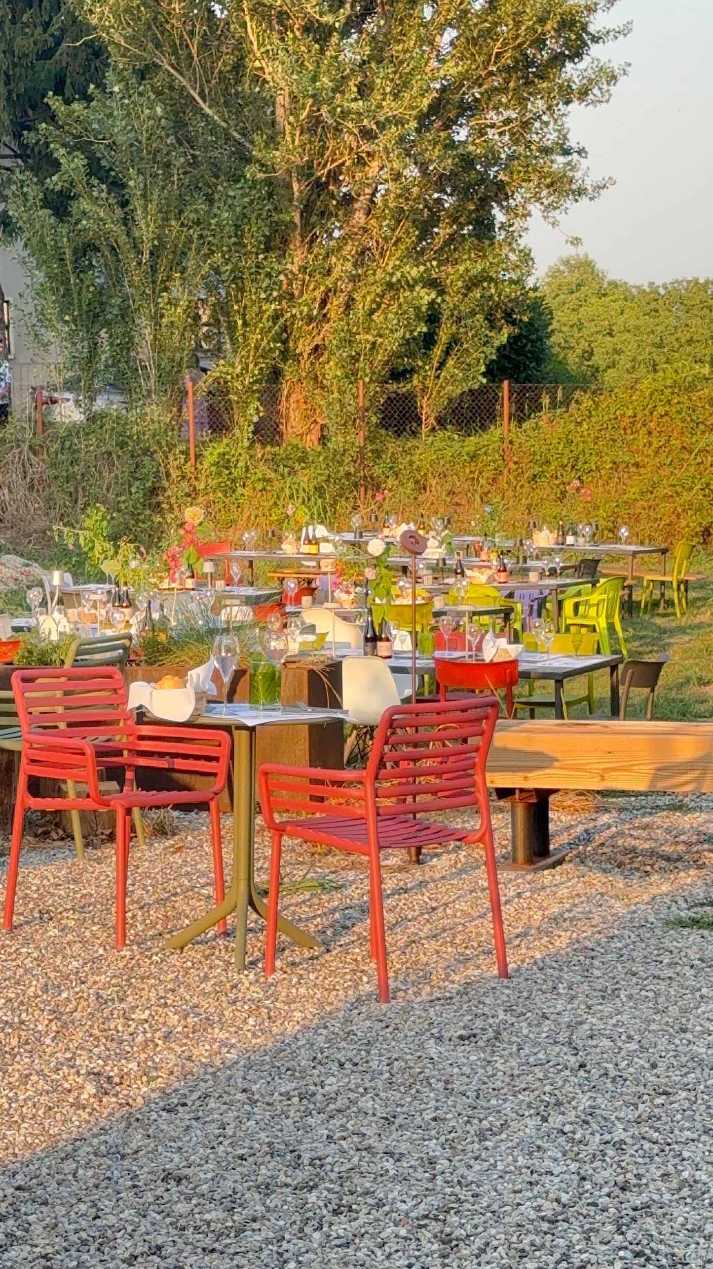 Cena in Vigna 1 Agosto