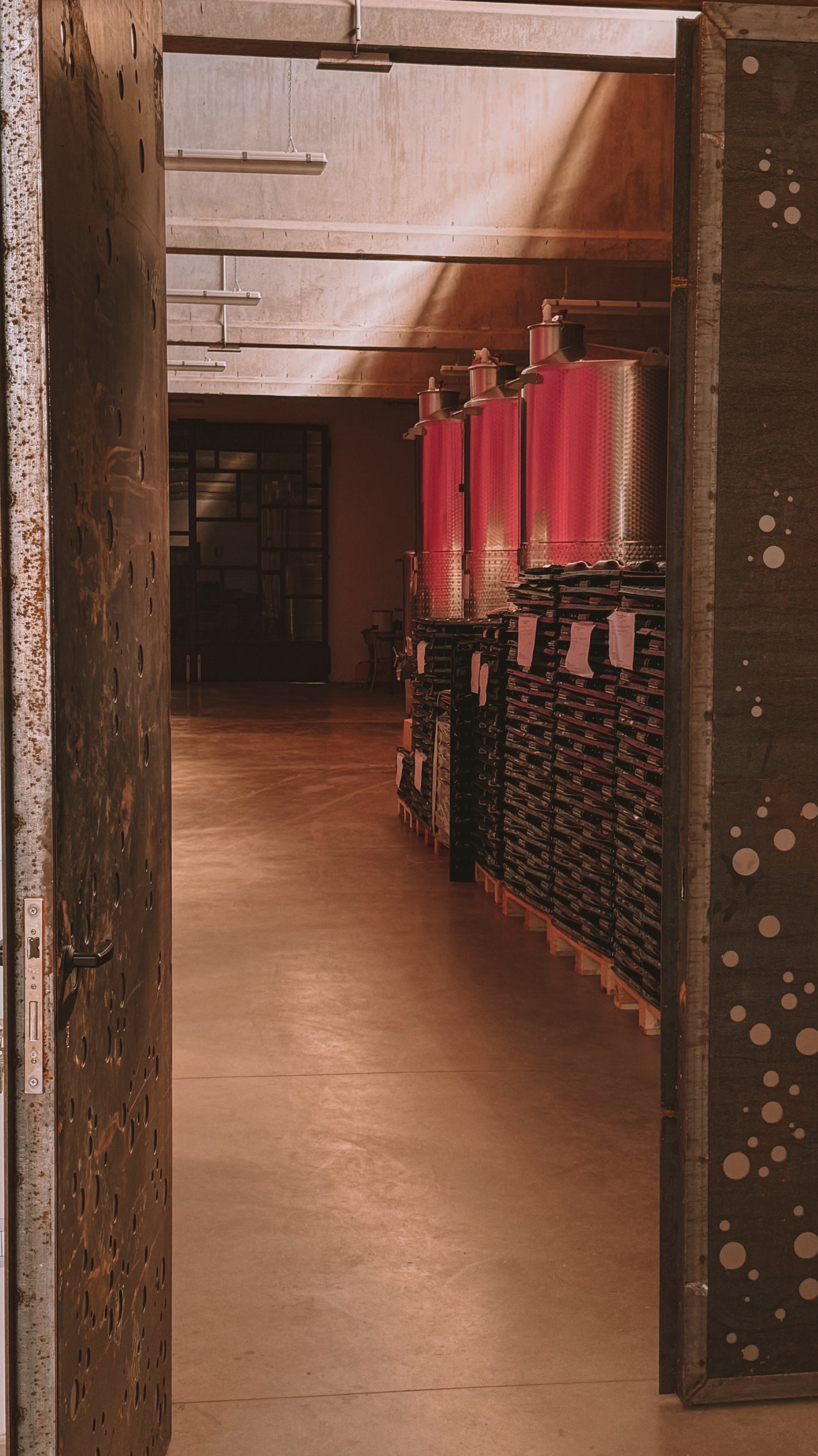 Guided tour and tasting of 6 wines, gourmet aperitif with Sabrage