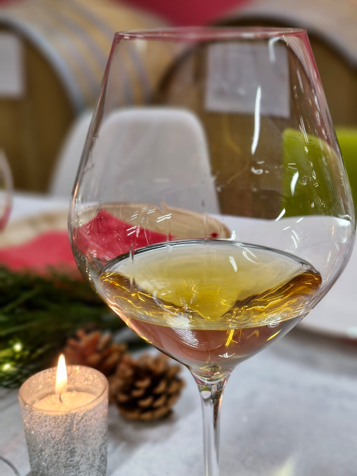 Visita guidata e degustazione di 4 vini, assaggi di formaggi e salumi locali