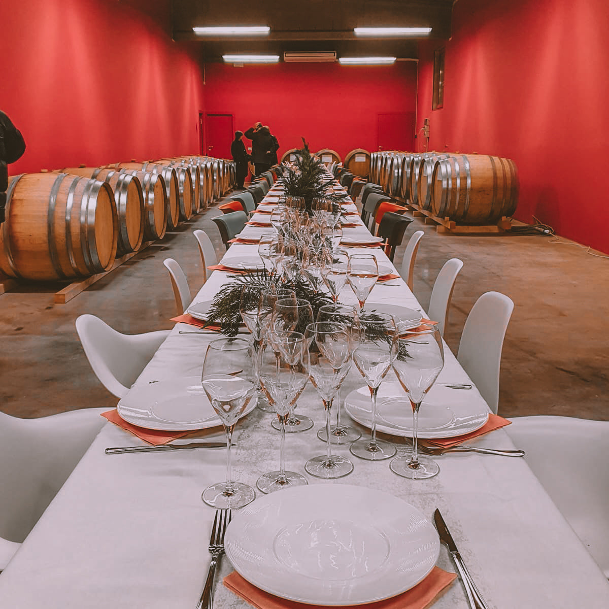 Visita guidata e degustazione di 4 vini, assaggi di formaggi e salumi locali