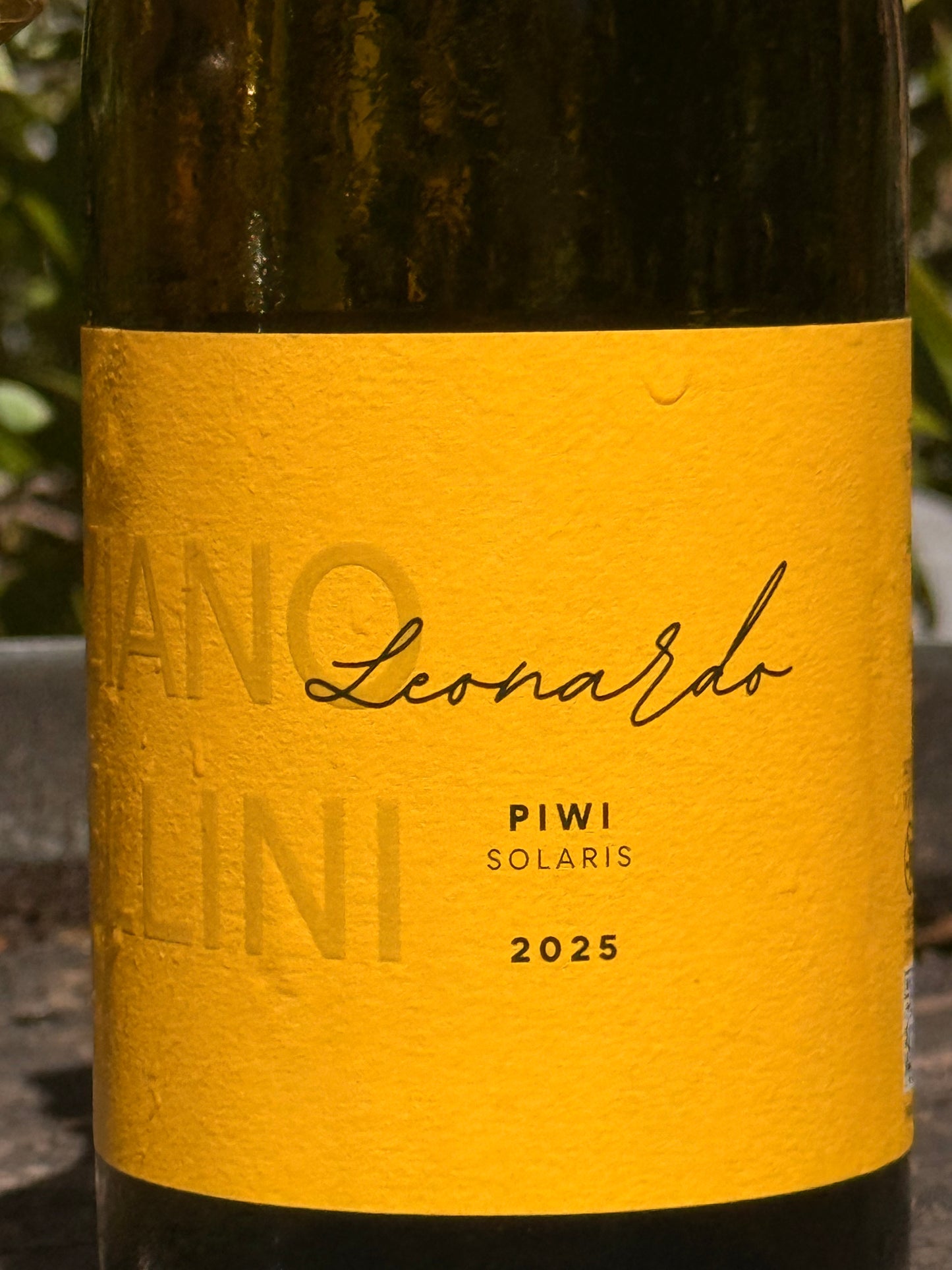 LEONARDO