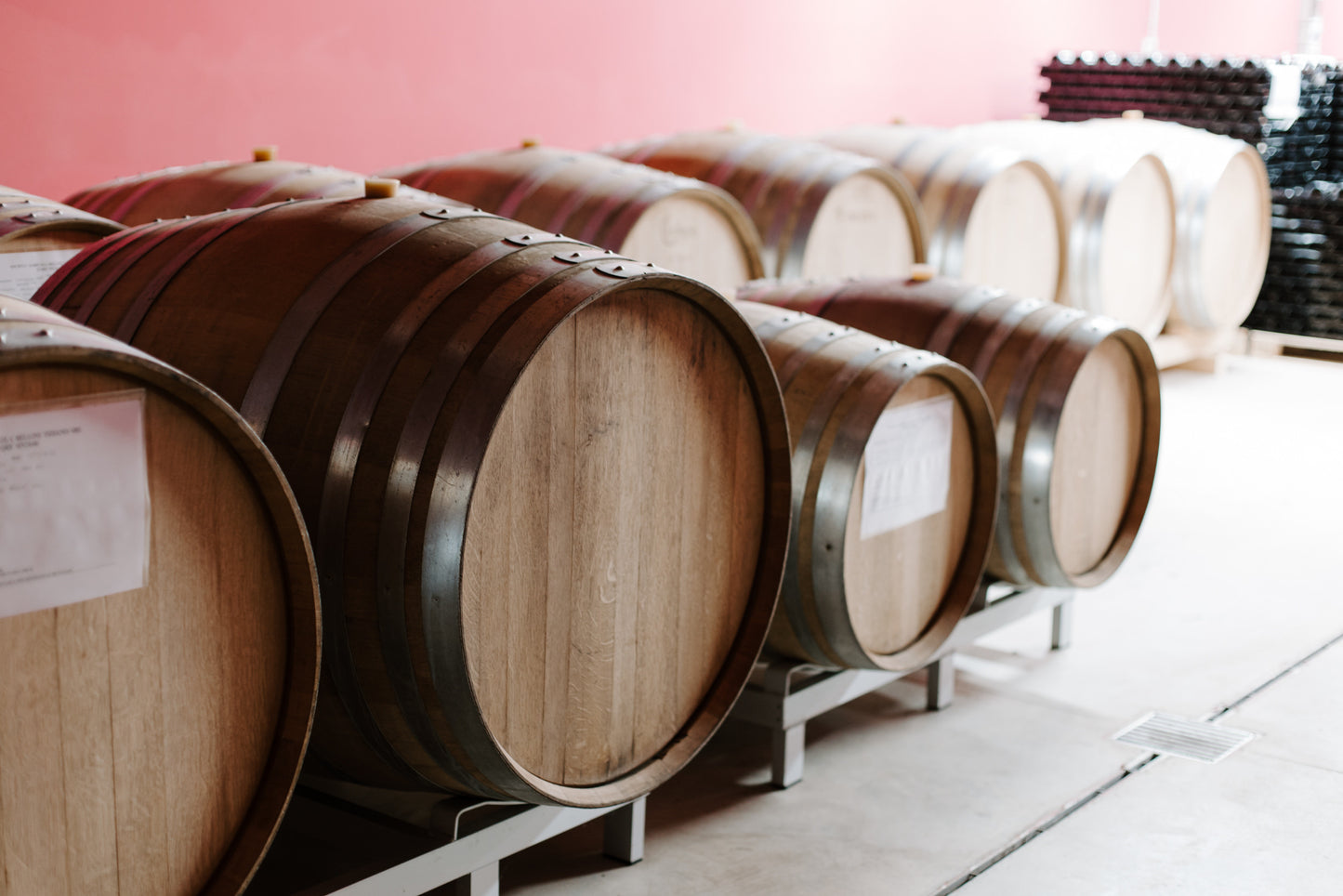 Visita guidata e degustazione di 3 vini