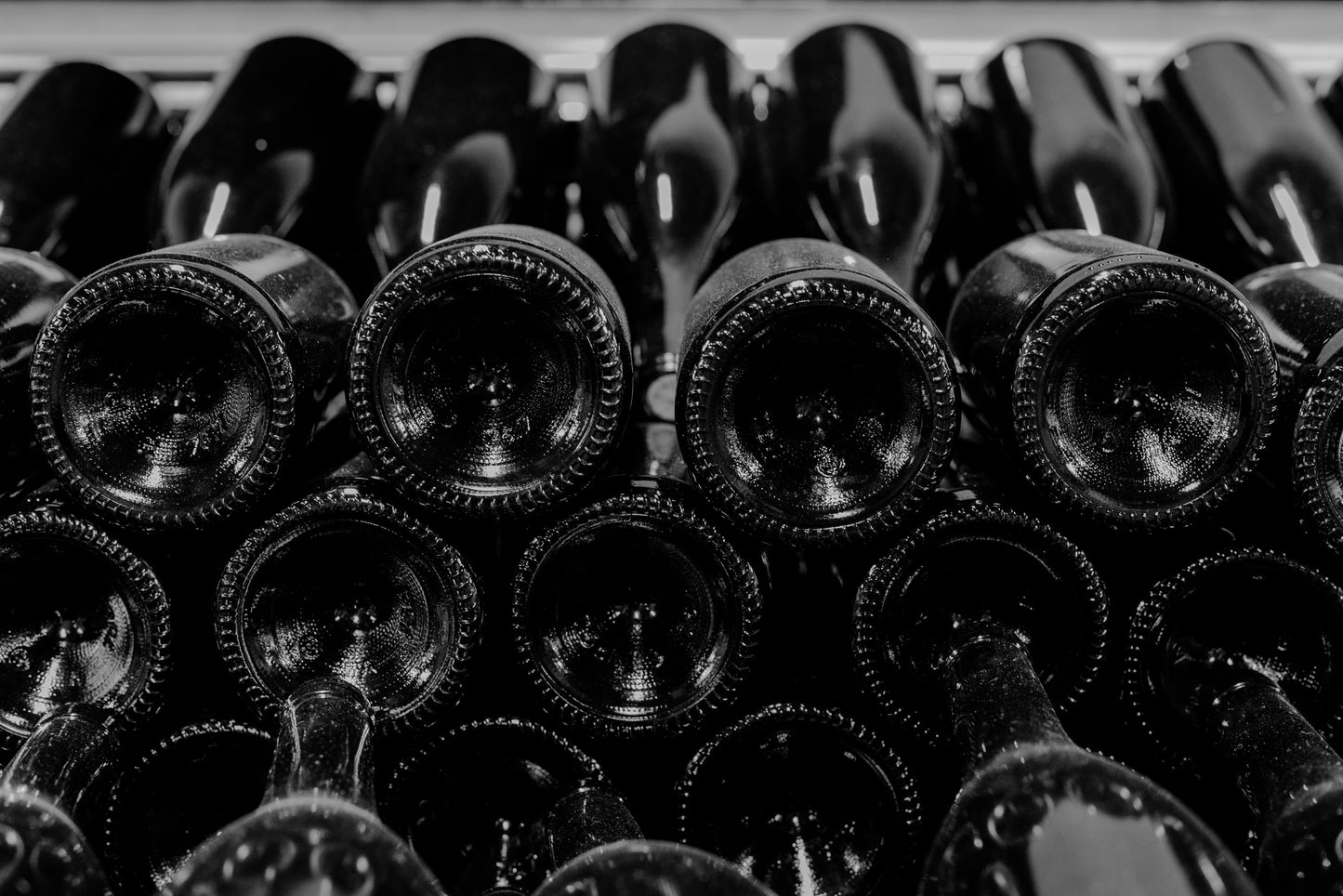 Visita guidata e degustazione di 3 vini