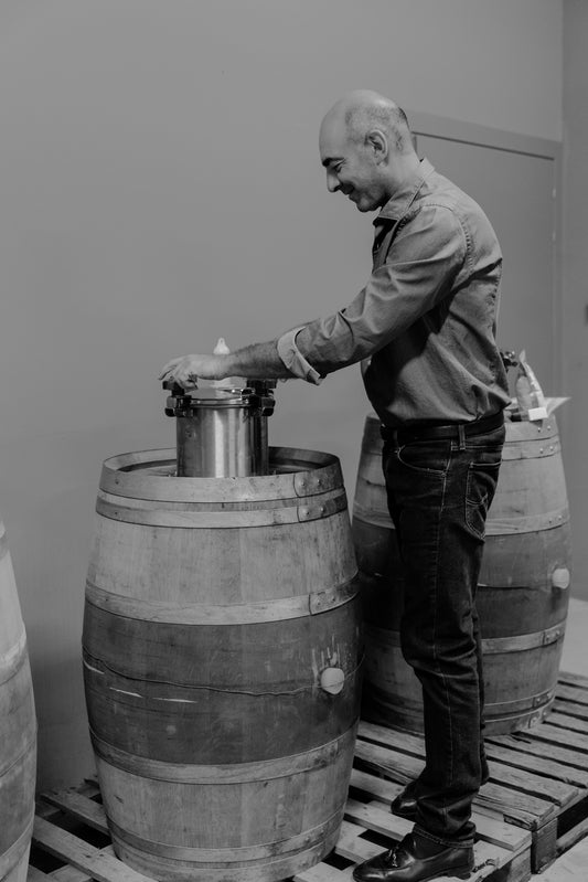 Visita guidata e degustazione di 3 vini